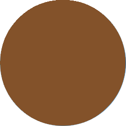 color_sample_brown color_sample_brown